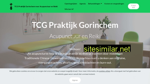 acupunctuurgorinchem.nl alternative sites