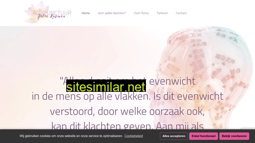 acupunctuurhillegom.nl alternative sites