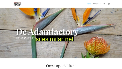 adamfactory.nl alternative sites