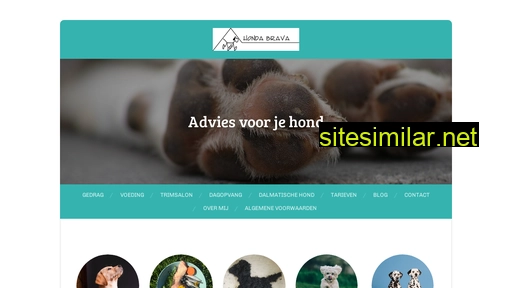 adviesvoorjehond.nl alternative sites