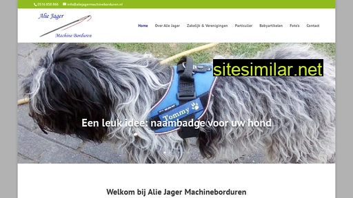aliejagermachineborduren.nl alternative sites