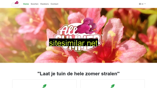 allsummer.nl alternative sites