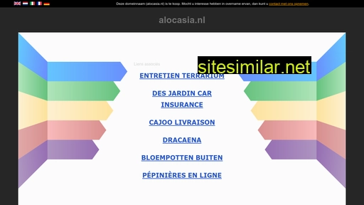 alocasia.nl alternative sites