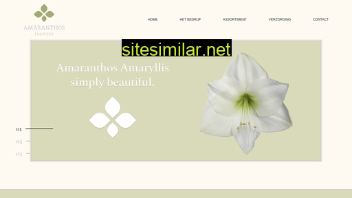 Amaranthosflowers similar sites