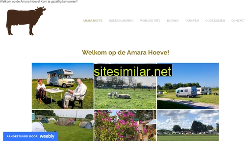 amarahoeve.nl alternative sites