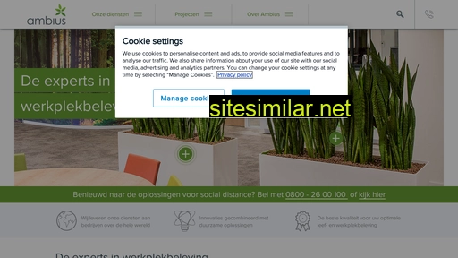 ambius.nl alternative sites