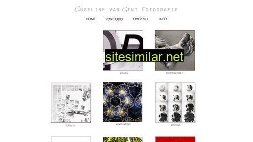 angelinevangent.nl alternative sites