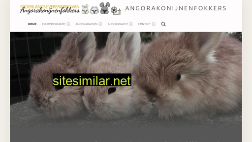angorakonijn.nl alternative sites