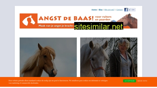 angst-de-baas.nl alternative sites