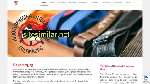 antongeesink.nl alternative sites