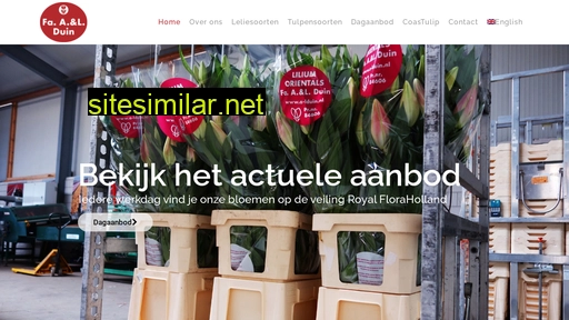 a-lduin.nl alternative sites