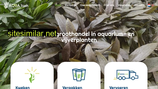 aqualook.nl alternative sites