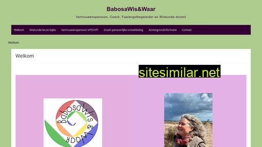 babosawisenwaar.nl alternative sites