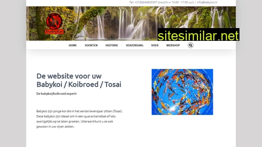 babykoi.nl alternative sites