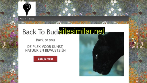 backtobuddha.nl alternative sites