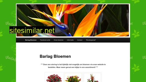 barlagbloemen.nl alternative sites