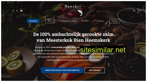 bawykovzalm.nl alternative sites