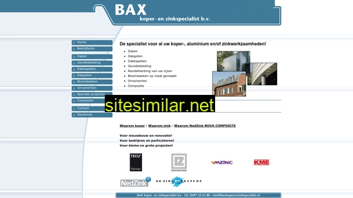 baxkoperenzinkspecialist.nl alternative sites