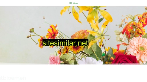 bb-artflowers.nl alternative sites