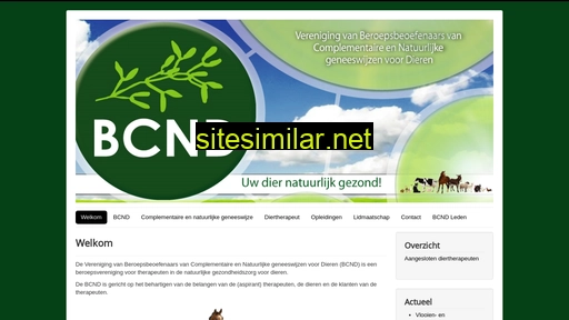 bcnd.nl alternative sites