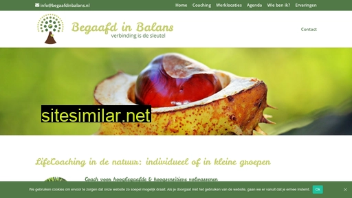 begaafdinbalans.nl alternative sites