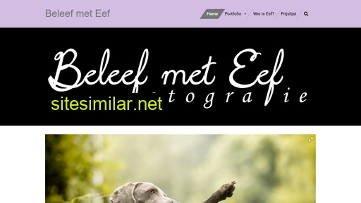 beleefmeteef.nl alternative sites