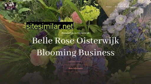 belle-rosebloembinders.nl alternative sites
