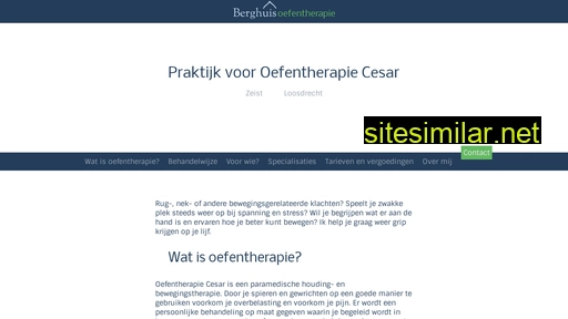 berghuisoefentherapie.nl alternative sites
