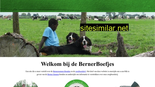 bernerboefjes.nl alternative sites
