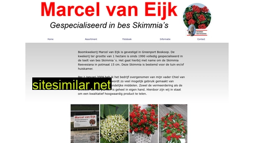 besskimmia.nl alternative sites