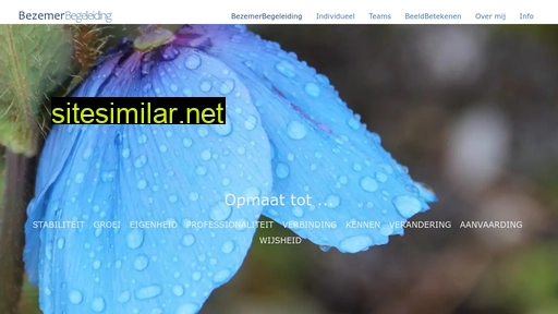 bezemerbegeleiding.nl alternative sites