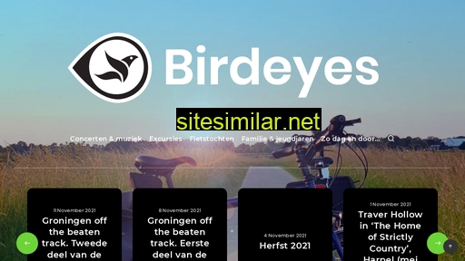 birdeyes.nl alternative sites