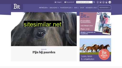 bitmagazine.nl alternative sites