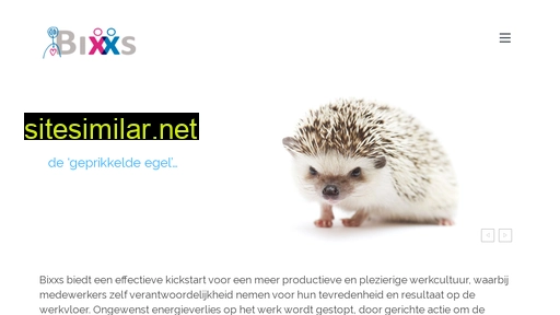 bixxs.nl alternative sites