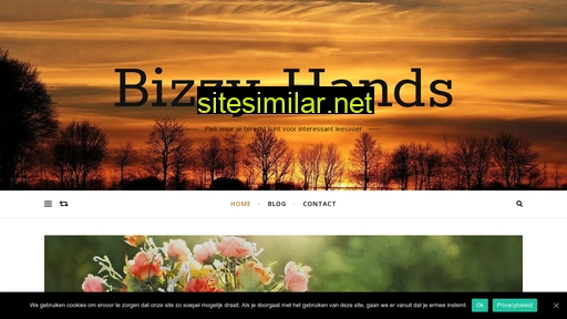 bizzyhands.nl alternative sites