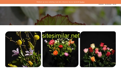 bloembinderijadtenhave.nl alternative sites