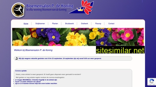 bloemendekoning.nl alternative sites