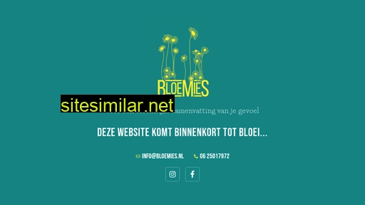 bloemies.nl alternative sites