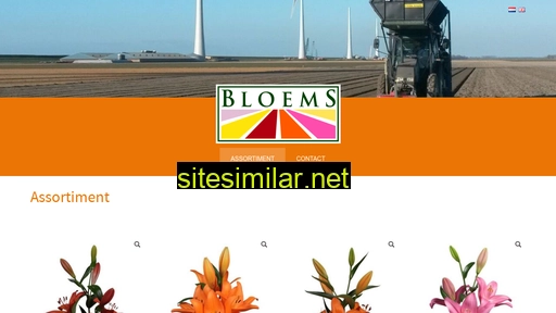 Bloems similar sites