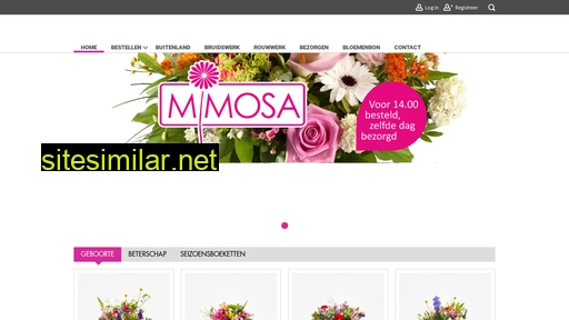 bloemsierkunstmimosa.nl alternative sites