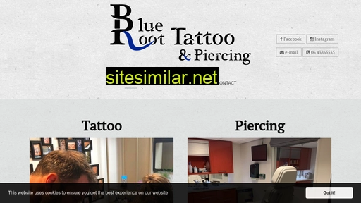 blueroottattoo.nl alternative sites
