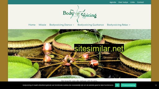 bodyvoicing.nl alternative sites