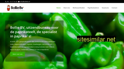bolliebv.nl alternative sites