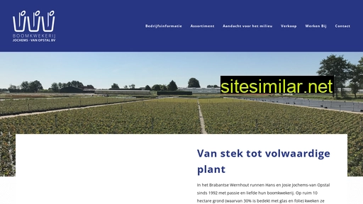 boomkwekerij-jochems-v-opstal.nl alternative sites