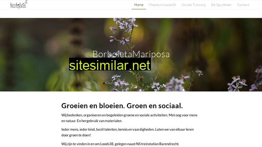 borboletamariposa.nl alternative sites