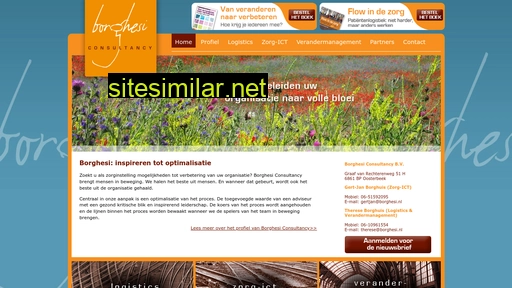 borghesi.nl alternative sites