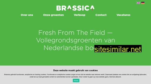brassicatrade.nl alternative sites