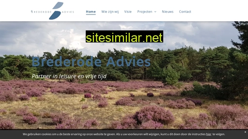 brederodeadvies.nl alternative sites