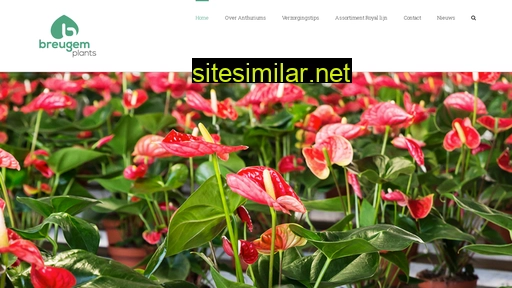 breugemplants.nl alternative sites