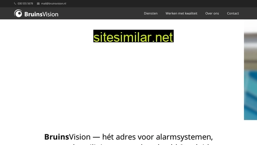 bruinsvision.nl alternative sites